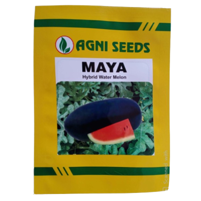 Water Melon - Maya